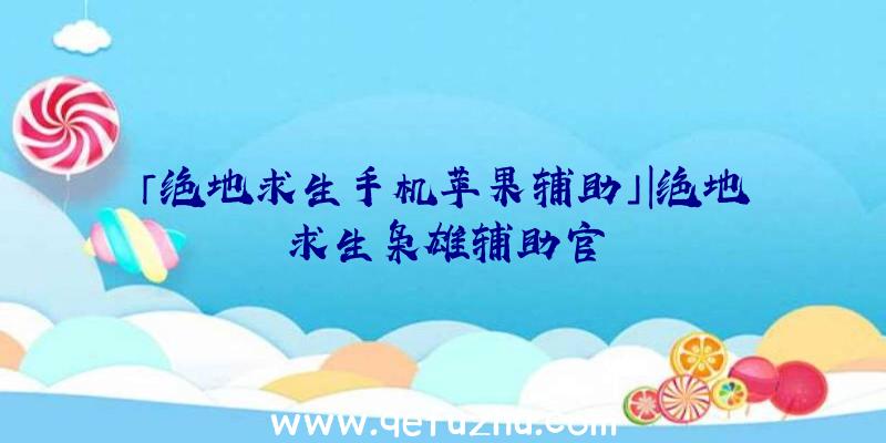 「绝地求生手机苹果辅助」|绝地求生枭雄辅助官